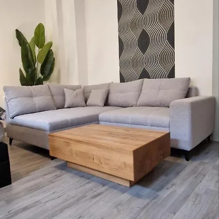 Apartment Top3 Mit Fitnessstudio Plauen